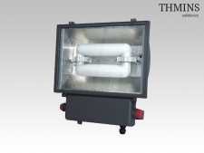www.thmins.com